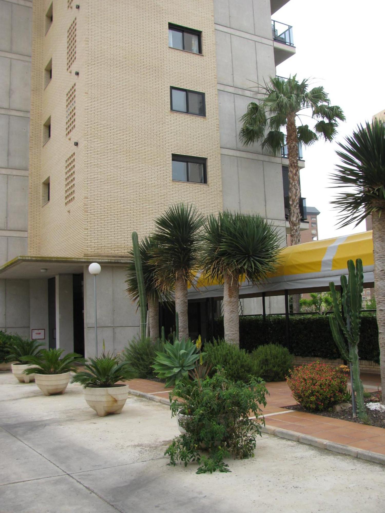 Apartamentos Torre Ipanema Benidorm Dış mekan fotoğraf